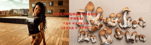 mdpv Абинск