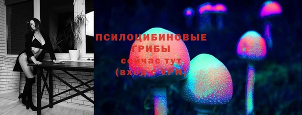 герыч Абаза