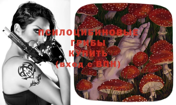 герыч Абаза