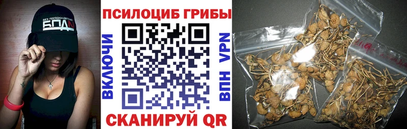 Галлюциногенные грибы MAGIC MUSHROOMS Приволжский