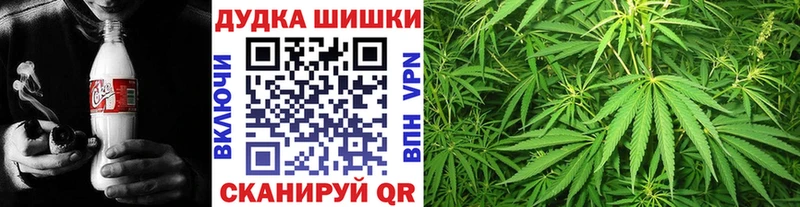 площадка официальный сайт  сколько стоит  кракен вход  Приволжский  Шишки марихуана VHQ 